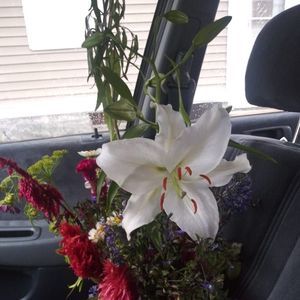 Meet your Posher, Yahaira